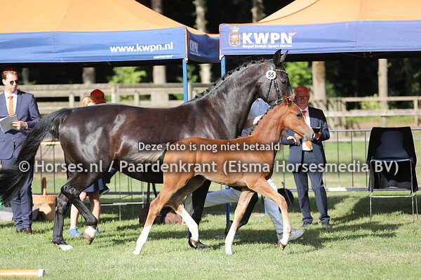 55 Vrouwe Mila van Ruijen