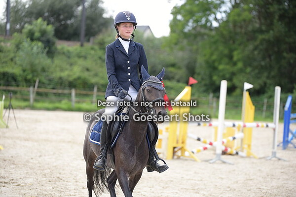 Prijsuitreiking Ponies hoogte 80