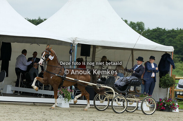TP Nationaal Grote Limiet 
