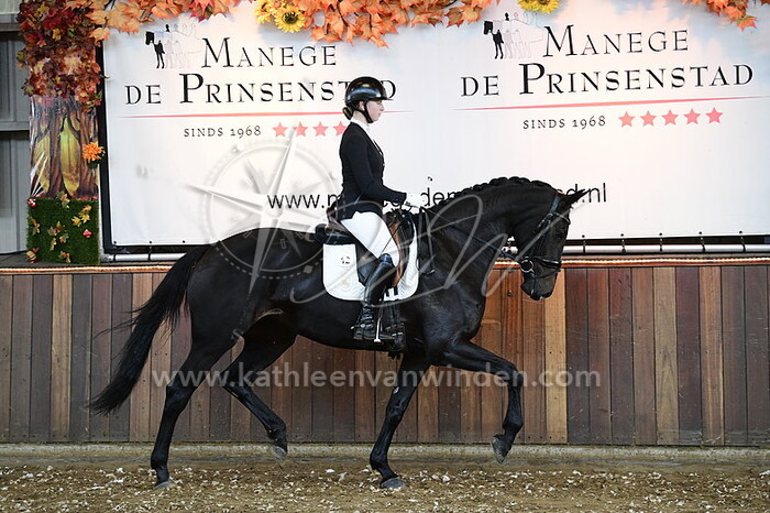 Lola Middelburg - Ollie-Esther