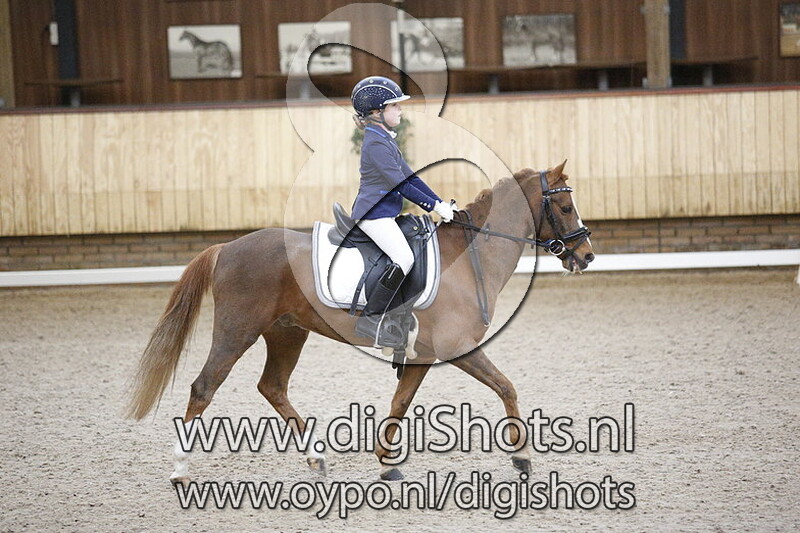 Himmeren's Goudtopaas