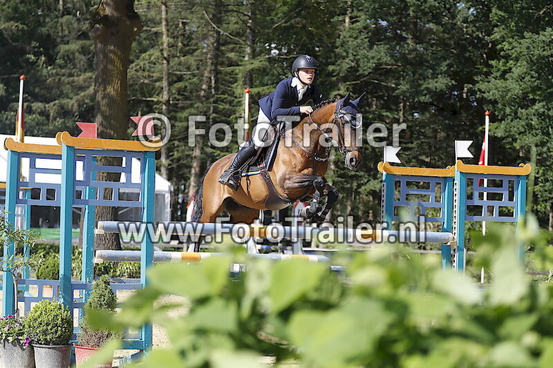 Ingemar Hammarstro¨m