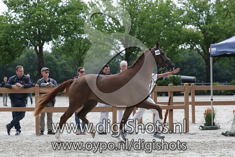 Santorini Dieni GDH v. Las Vegas