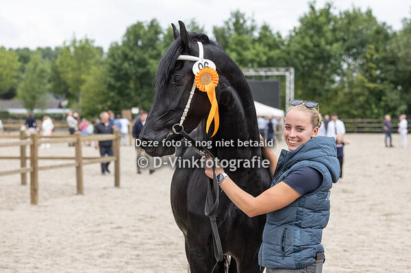 96. Ulke fan 't Hoolven