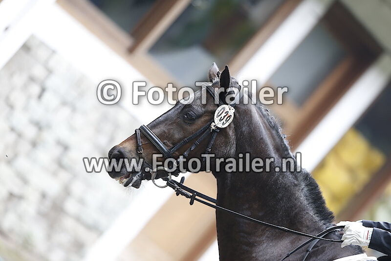 Keshya Pramesti Dewi