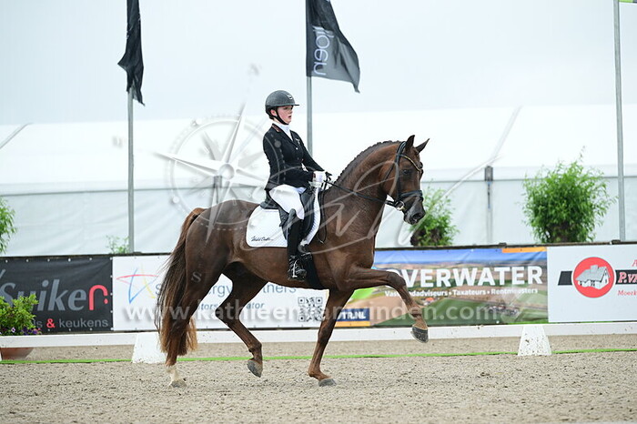 Rose Oatley - Opoque