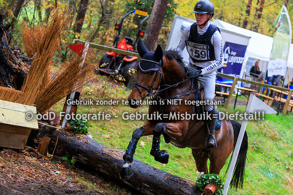 SGW Bathmen paard Intro 01-11-25