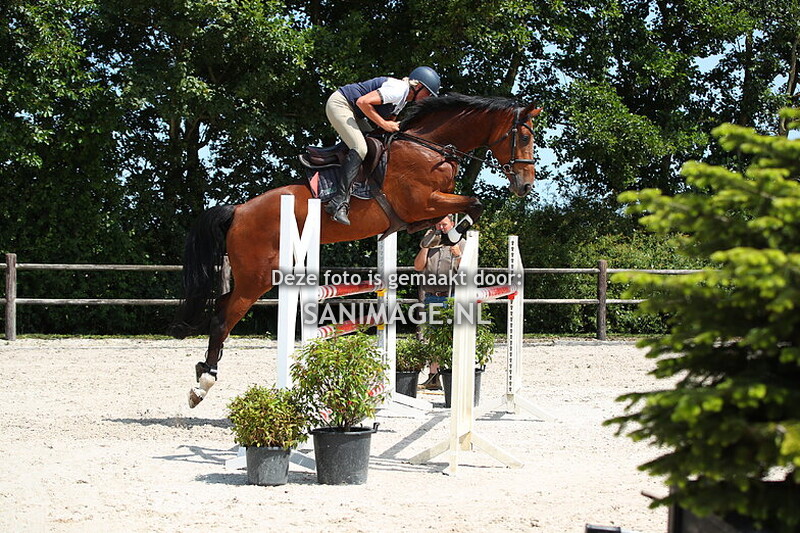 Stal Groenendaal Springen Paarden 20-06-2025 120 cm