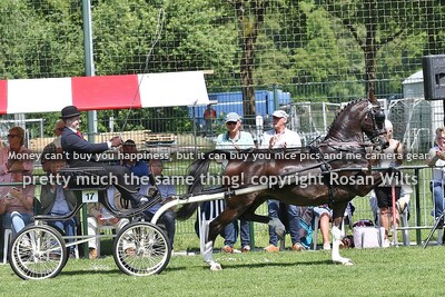 DS24 regionaal ereklasse