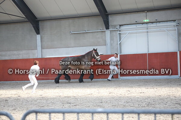 44 Kristel van Nergena (Mathador vand e Bouwhoeve x Karin van Nergena)