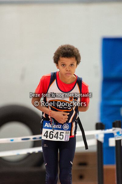 20221113 [ZWAT] VOLH indoor pup-min 1 - Beveren