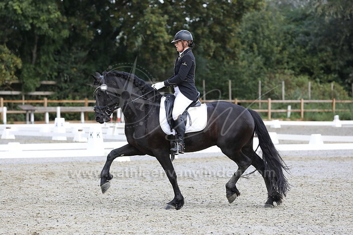 Michele Lancee - Klip