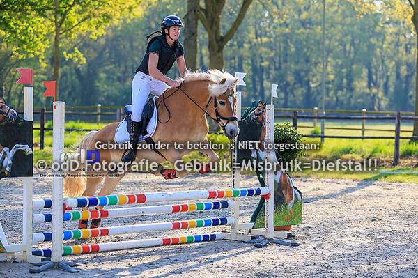 Springen Paarden RV PC Posterholt 20-04-25