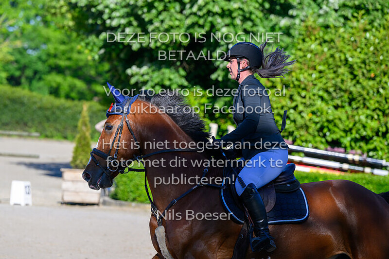 1 vrijdag 0.90m paarden