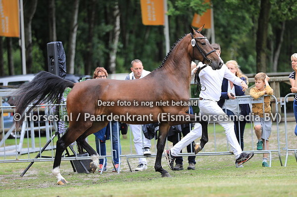 65 Lara Jane v Henkie