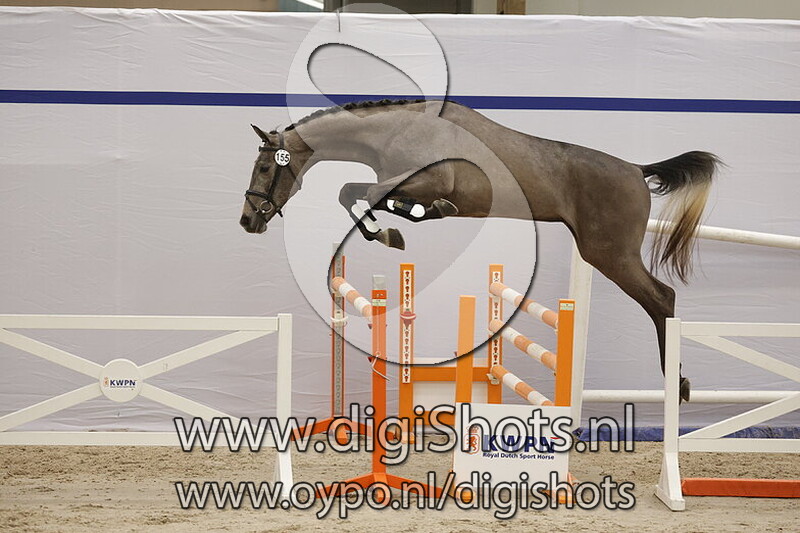 Silver Storm Evo v. Verdi