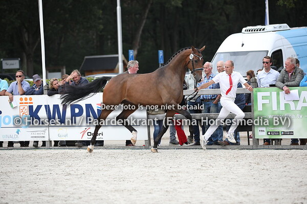 183 Lafeera Altena (Expression x Afeera v. Rhodium)