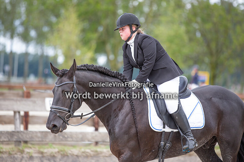 Caroline Conradi - Meinte fan Bokkum