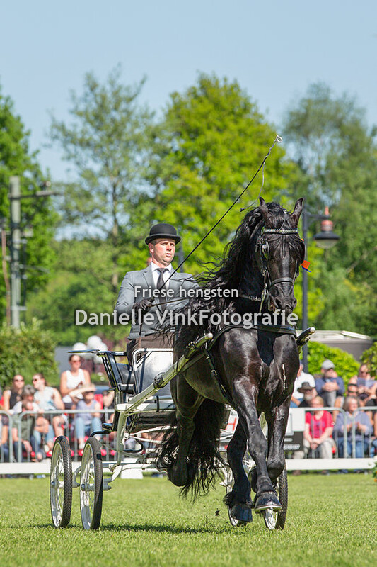 CH Lunteren tuigpaarden 05-05-2018 Julius 486