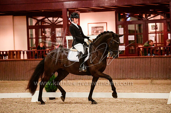 2021-11-13 Hooge Mierde