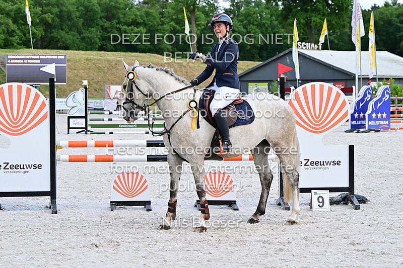 6 Jonge paarden springen 4 jarige. 85 cm