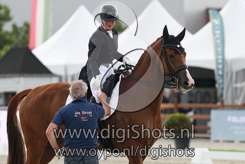 Hexagons Luxuriouzz NOP