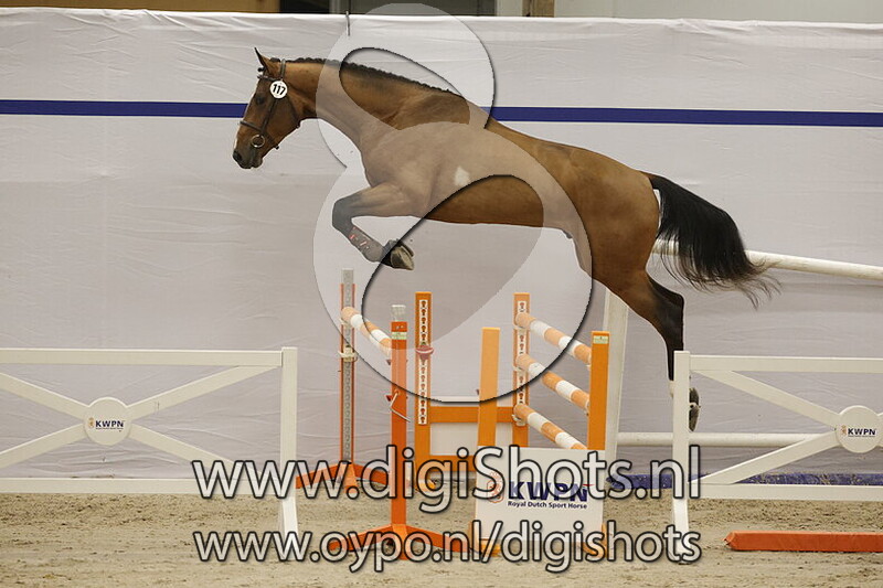 Springsteen VE v. Mindset ES