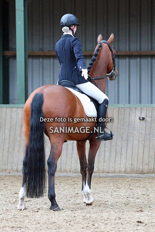 KNHS Regio Utrecht Stars Talentenselectie 24-03-2024 Dressuur 13.00 uur