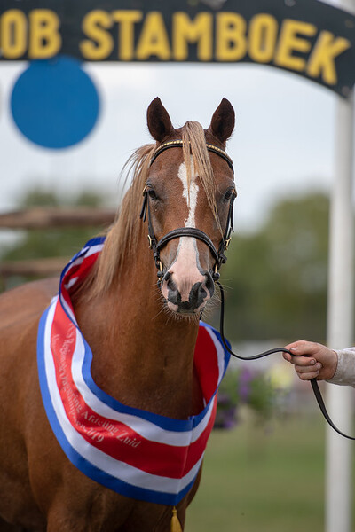 Regionale Keuring Sevenum