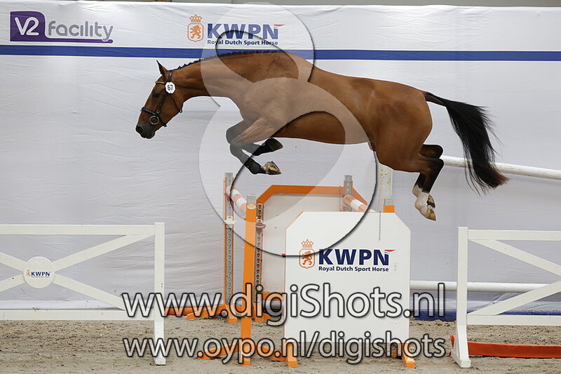 Pearly Chin VDL v. Hardrock VDL