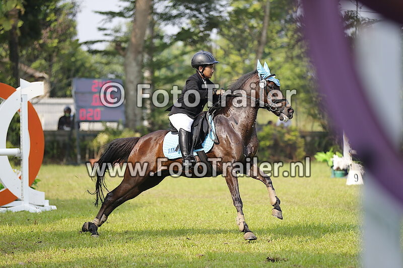 Muhammad Mulfi Hanif