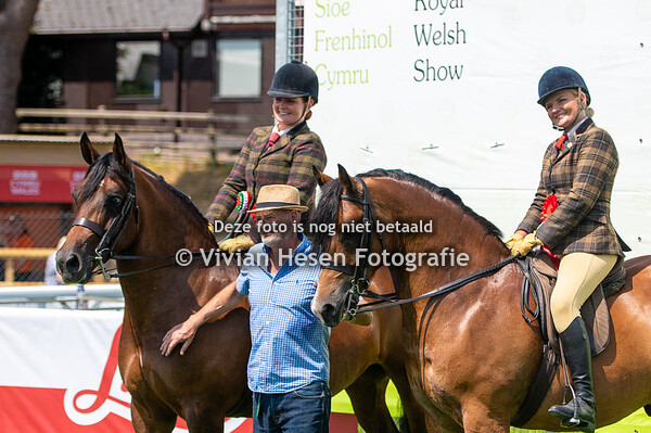 Ridden Section D Championship