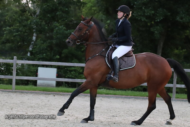 Tolbert 20-06-2019 Avond Z/ZZ