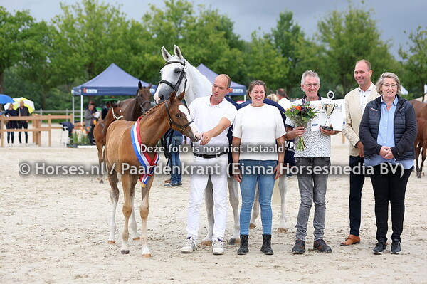 7 Vinco-H (Cero Blkue x Chrisstien H v.; Casantos)