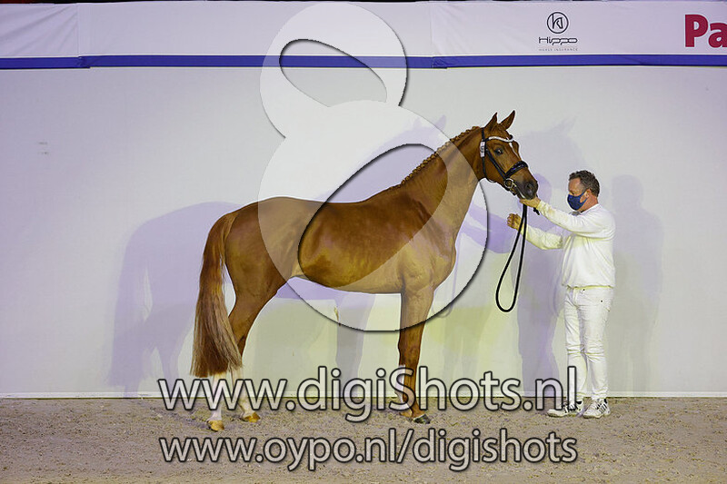 Night Sjadow v. Guardian S