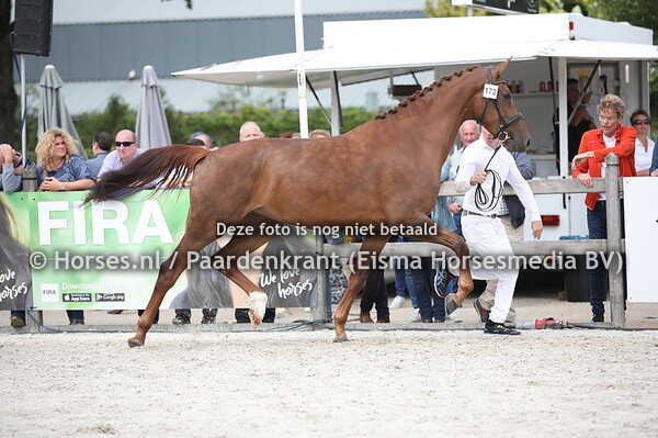 172 Lisieux-STRH (Botrdeaux x Toulouse. v. Jazz)