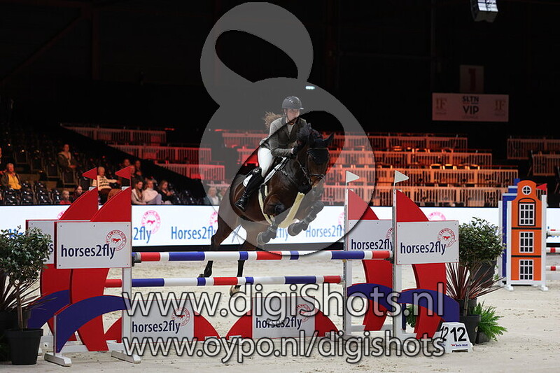 Diamant de Jachtlusthoeve Z