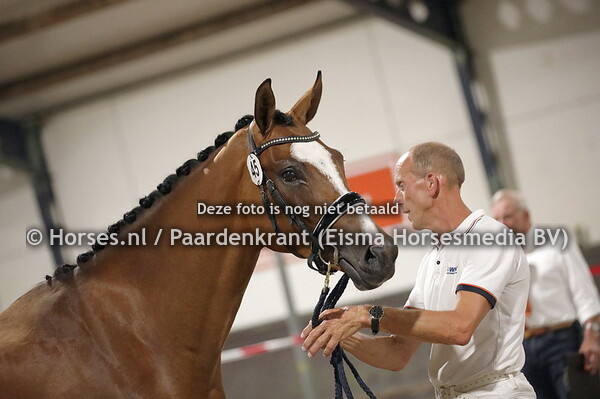 45 Omara (Indrian Rock x Coraja v. Florencio)