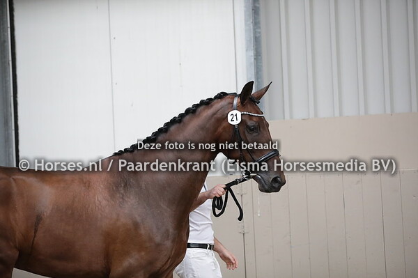 21 Montserrat-Beau v. ferdeaux x Beau Verina v. Vivaldi)