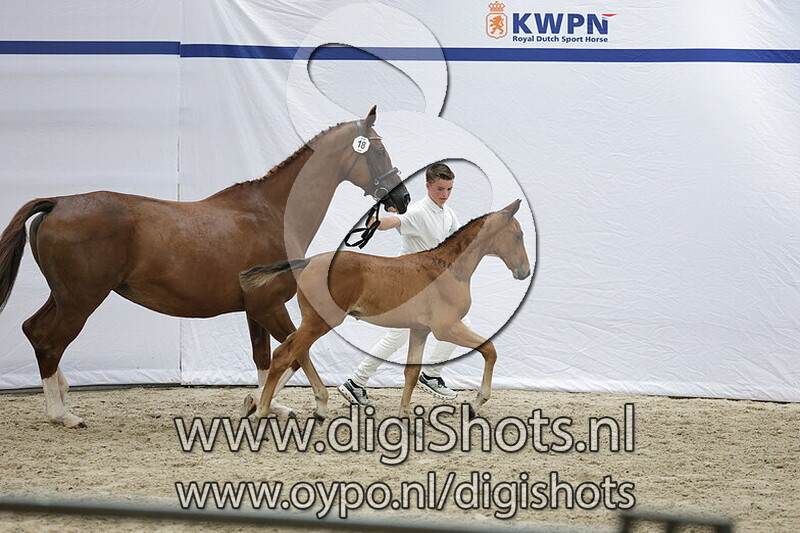 Votra Banda VDL v. Baltic VDL