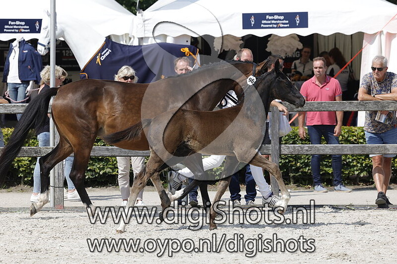 Troubadour v. Fontaine TN