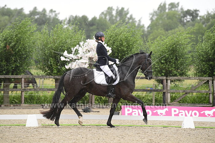 Moniek van Dijk - Never Expected