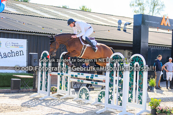 klaverblad concours hoevelaken 100cm 05-09-25