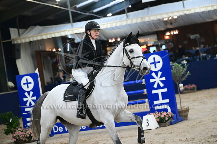 Elvira Kwakernaak - Zirocco Bru B Z