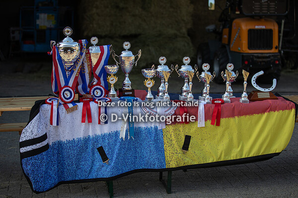 20. Dagkampioenschap