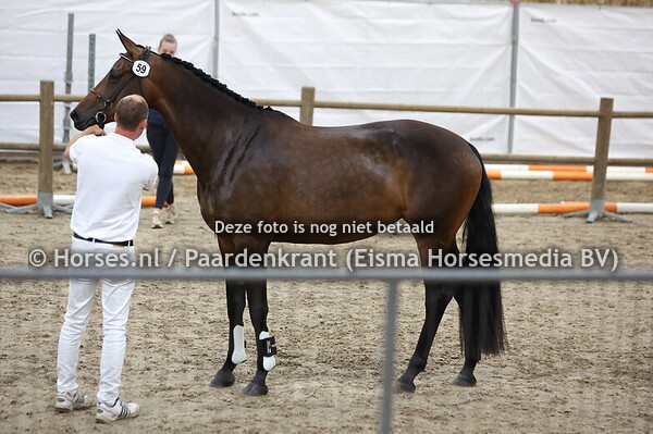 59 Roxylinda (Lowlands x Kyralinda v. Farytale)