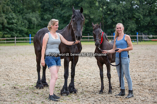 37. Nova Xanne van de Lingehof