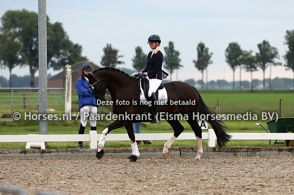 611 Karlstad (Fairytale x Uptown) Melissa van der Pijl