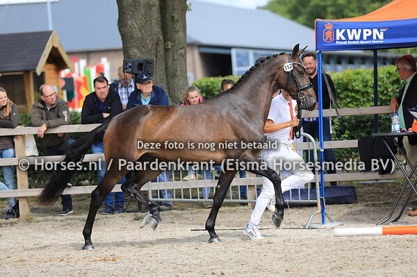 112 Lola v El Capone