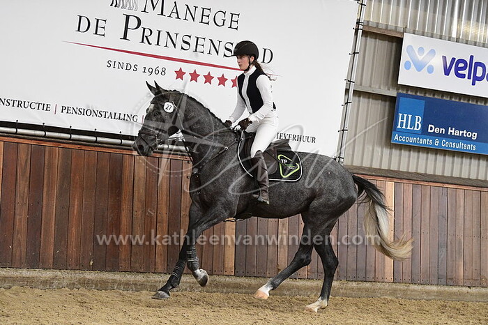 Promised Tari - Leyla Tas